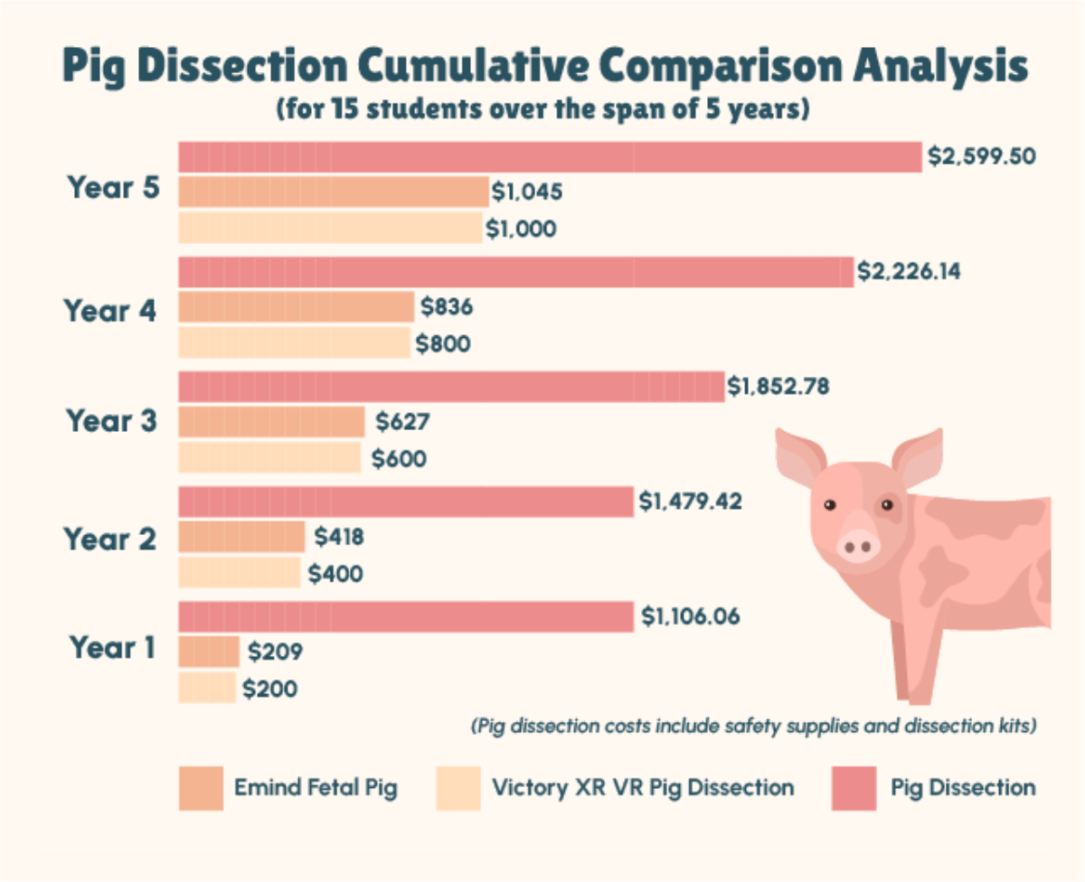 Chart of pig dissection costs anaylysis