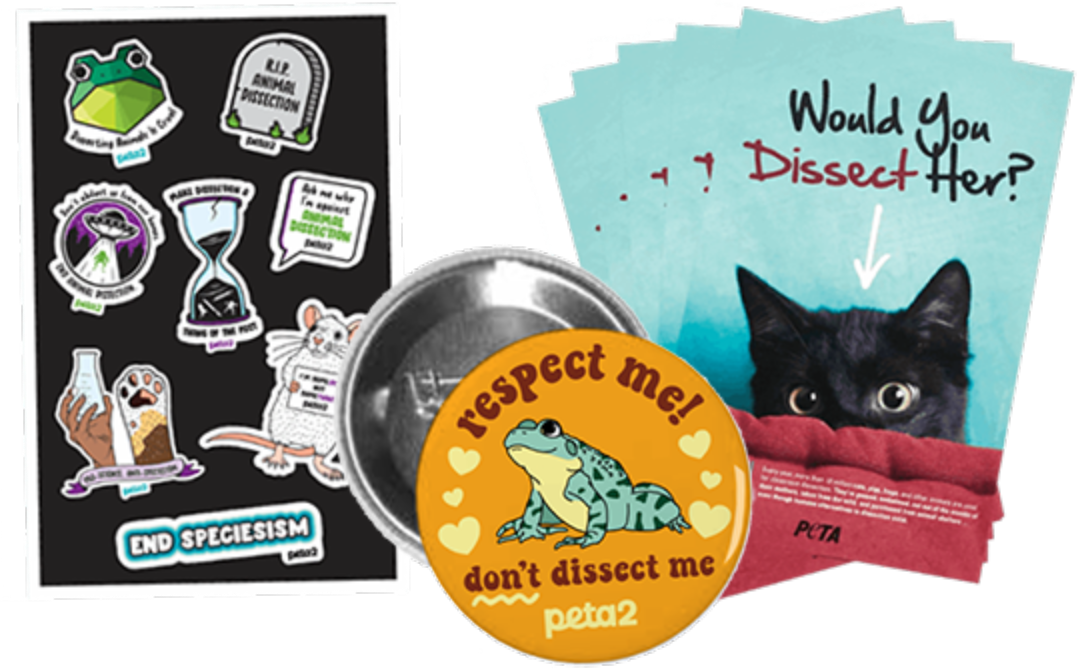 A collection of pamphlets, buttons, and stickers about ending dissections